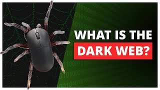 What is the Dark Web and How To Know If Your Information Has Been Leaked