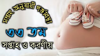 সপ্তাহ অনুযায়ী গর্ভাবস্থা ৩৩ সপ্তাহ | soptaho onujayi gorvabostha 33 | 33 week pregnancy in bangla