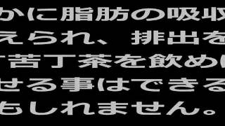 苦丁茶は確かに苦いですが・・・ダイエット効果は◎