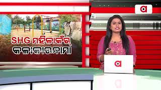 Locals Allege Poor Construction Of Park By SHG Women In Balangir