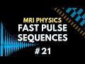 Echo Planar Imaging (EPI), Fast Spin Echo (FSE) | Fast Pulse Sequences | MRI Physics Course #21