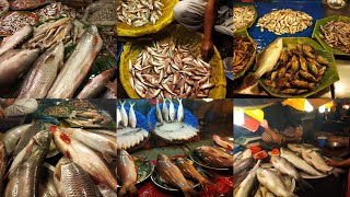 দেশী মাছের বাজার জমেছে ০৫ | Amazing Fish Market in Bangladesh | Biggest Fish Market of Dhaka