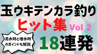 【テンカラ釣り】ヒット集１８連発！渇水時と増水時のポイントも解説します！