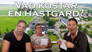 GISSAR PRISET PÅ HÄSTGÅRDAR