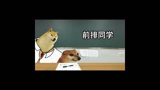 前后排同学考试区别 #cheems小剧场 #cheems #搞笑 #沙雕