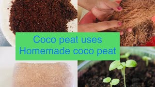 ಮನೆಯಲ್ಲೆ coco peat ಮಾಡುವುದು ಹೇಗೆ?/ coco peat brick ಅನ್ನು ಹೇಗೆ use ಮಾಡುವುದು?