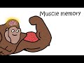 Muscle Memory Explained By Ape