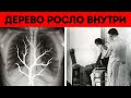 Правдивые истории, которые противоречат логике и объяснению, но все они реальны