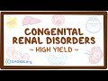 Congenital renal disorders: Pathology review