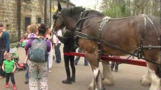 Our rehomed horses - Baron the Clydesdale's Story