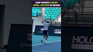 CAM NORRIE COURT LEVEL ACTION #tennis #shorts