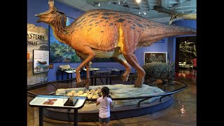 Dinosaurs and more at the San Diego Natural History Museum @ Balboa Park ~ San Diego Dad
