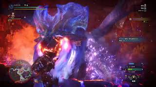 [MHW] 龍撃弾ヘビィ ナナ・テスカトリ(イベクエ) 2分50秒～51秒 [モンハンワールド]