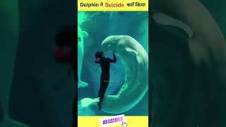 Dolphin ने Suicide क्यों किया?