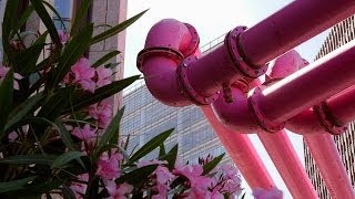 Урок англійської мови: Pink pipes of Berlin