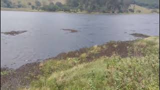 um passeio pela barragem da iunmas Pernambuco