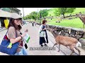 vlog25✈️奈良｜若草山視野真棒，這裡的小鹿真瘋狂