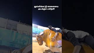 காளை அடக்கும் பயிற்சி