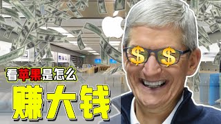 苹果是怎么赚大钱的 | 万亿身家的上市公司 | How Does Apple Make So Much Money | The Trillion-Dollars Company