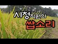 관공서 그님의 쌉소리!! - countryside life