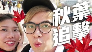 『 終極秋葉追擊! 韓國米卷! 』 景福宮、 再戰明洞 - 韓國首爾 #6 完 w/ small b, Dai Wing, KT, Saya, 紫 [KZee \u0026 麻布]