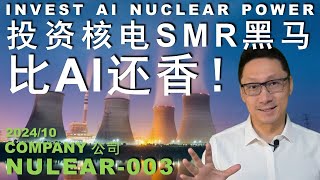 NUCLEAR003 比AI还香的投资—SMR小型核电#投资 #美股 #trading