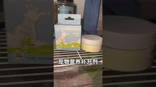 鼠鼠增胖羊奶粉姨姨们快冲！#养鼠日常分享 #萌宠出道计划 #仓鼠宝宝的日常 #鼠鼠我呀 #仓鼠🐹