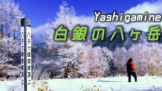 登山初心者オススメ！八ヶ岳を望む白銀の八子ヶ峰稜線ハイク【vlog#5】