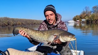 Dzigovanje Reka Sava×#catfish #zander #jigging