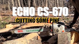 SOTF: Echo CS-670 cutting! #firewood #chainsaw #diy