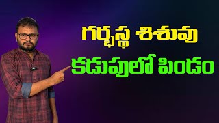 గర్భస్థ శిశువు కడుపులో పిండం// Fetus in the womb...