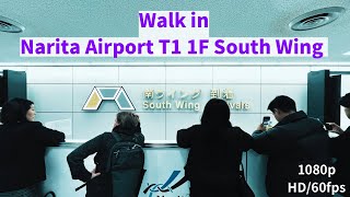 ［Walk in Narita Airport Terminal1 F1 South Wing ］成田空港第1ターミナル1F 南ウイングを歩いてみた   #walkingtour2024 #散歩