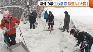 「去年の倍でビビった…」早稲田大学の学生が新潟県の山間地域で除雪ボランティア　オーストラリアからの留学生も (25/02/19 19:42)