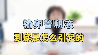 输卵管积液是什么引起的专家提醒：这个原因是关键，你知道吗