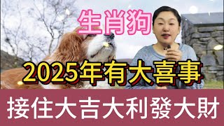 2025 乙巳蛇年，生肖狗撞上大喜，屬狗之人快來接，尤其是這個大驚喜！絕對超乎想象！共赴福運之旅！#風水 #生肖 #運勢 #佛教