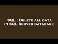 SQL : Delete all data in SQL Server database