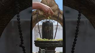 திராட்சை யால் அழகிய சிவன் அபிஷேகம் Sivan illam #sivan #omnamoshivaya #shivayanamaha #mahadev #shiva