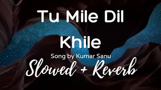 Tu Mile Dil Khile { Slowed + Reverb } || Kumar Sanu || Criminal 🎧🎧