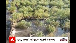 Banaskantha News : બનાસકાંઠાના થરાદમાં કેનાલ ઓવરફ્લો થતા ખેતરોમાં ફરી વળ્યાં પાણી