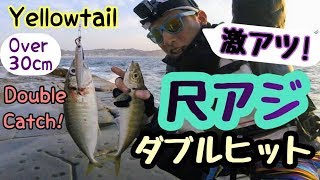 【尺アジ激アツ】ショアジギングでダブルヒット！【Shore jigging】Yellow tail W catch on jig.Avoca fishing!