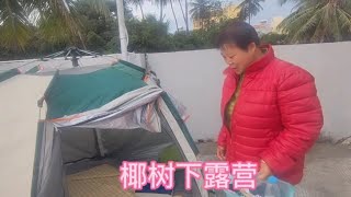 自驾游海南，一天三个景区晚上椰子树下露营