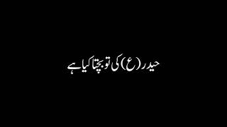 Janam Ali Ali a.s|Nadeem Sarwar|Black Screen Whatsapp Status|Urdu Lyrics