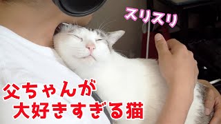 パパに甘える猫が可愛すぎてゴメンなさい