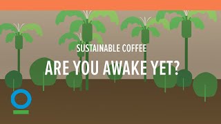 Sustainable coffee: Are you awake yet? | Conservation International