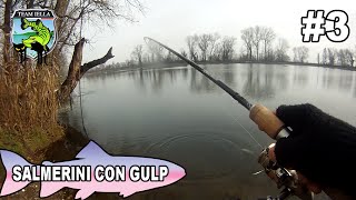 Salmerini e Trote a Spinning con Berkley Gulp (Brook Trout)