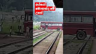 2.7 million views /bus stoped 😭😭😭on railway crossing  unexpectedly|  Heeloya Srilanka|trainSL|BUS🚒🙏