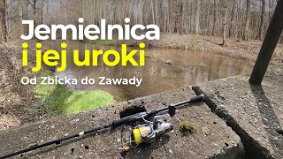 Lekki Spining Rzeka Jemielnica odcinek leśny (Zbicko-Zawada)