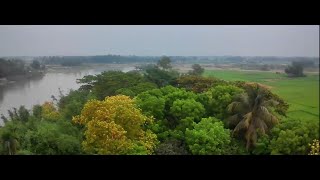 Bhoir_Para Habla Basail Tangail (ভৈর পাড়া হাবলা বাসাইল টাঙ্গাইল)