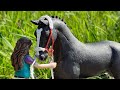 Schleich Pferde Videos 🐎