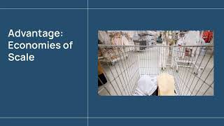 Job vs. Batch Production | NCEA Level 2 Business Studies (90843) Excellence Answer Explained